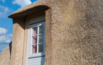 Newtake thatch roof disadvantages