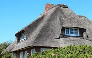 thatch roofing Newtake, Devon