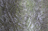 Newtake fibreglass roof work